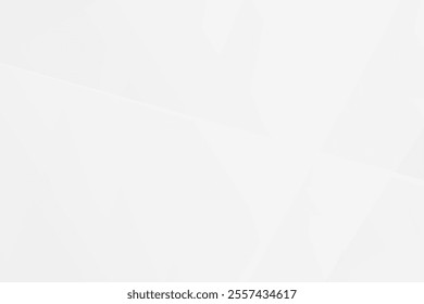 Abstract white and grey on light silver background modern design. Vector illustration eps 10.