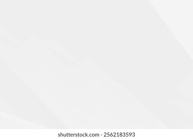 Abstract white and grey on light silver background modern design. Vector illustration eps 10.