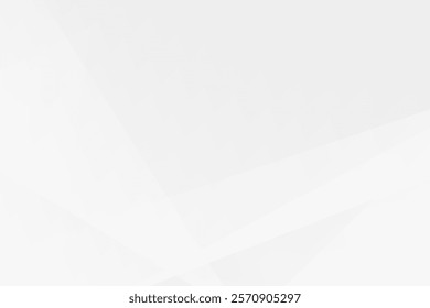 Abstract white and grey on light silver background modern design. Vector illustration EPS 10.