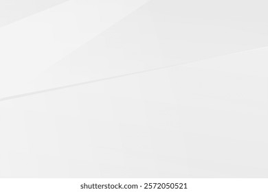 Abstract white and grey on light silver background modern design. Vector illustration EPS 10.