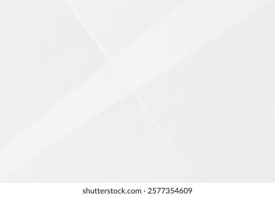 Abstract white and grey on light silver background modern design. Vector illustration EPS 10.