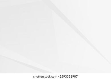 Abstract white and grey on light silver background modern design. Vector illustration EPS 10.