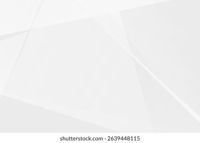 Abstract white and grey on light silver background modern design. Vector illustration EPS 10.