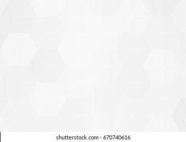 Abstract White Hexagon Background , Vector.
