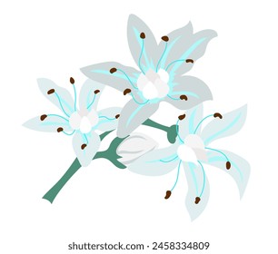 Abstract white lilly flowers in flat design. Blooming wedding bouquet. Vector illustration isolated.