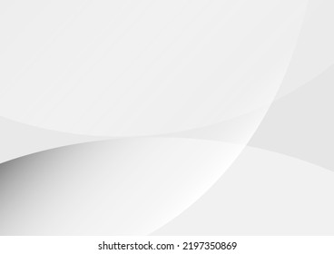 Abstract white line background wallpaper vetor illustration