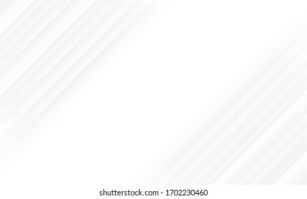 Abstract white line texture with blank space design background vector illustration.