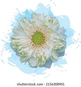 Abstract of white lotus flower with blue color spread on white background.