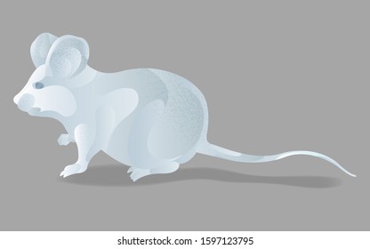 Abstract white metal mouse vector isolated illustration. Symbol of the asian new year in modern style with liquid metal effect and grain texture. Chinese lunar zodiac symbol. 