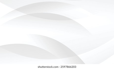 abstract white modern background with graphic curve decoration