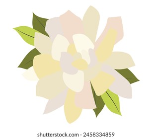 Abstractas peonía blanca con hojas en diseño plano. Cabeza de rosa flor. Ilustración vectorial aislada.