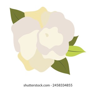 Abstract white petals rose with leaves in flat design. Peony blossom head. Vector illustration isolated.