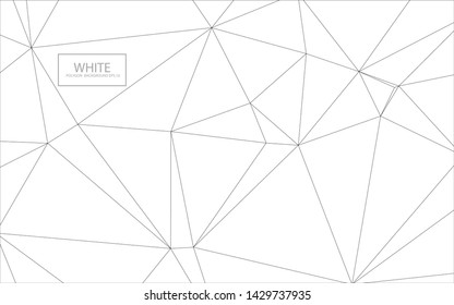 Abstract white polygon background vector EPS.10