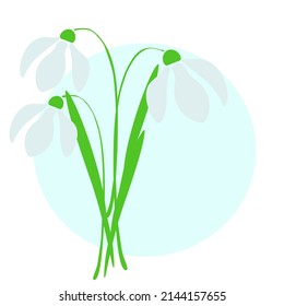 Abstract white snowdrops flowers in blue frame. Blooming wild galanthus in border, spring greeting card. Painted wildflowers vintage template. Botanical drawn illustration, vector design eps 10