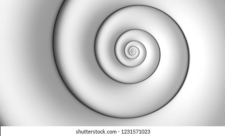 Fondo espiral blanco abstracto. Fondo de espiral fibonacci.