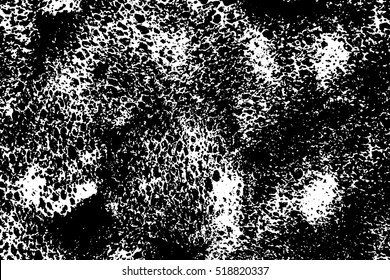 Abstract white sponge stains texture. Design for your brushes and grunge effects. Vector illustration