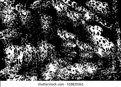 Abstract white sponge stains texture. Design for your brushes and grunge effects. Vector illustration