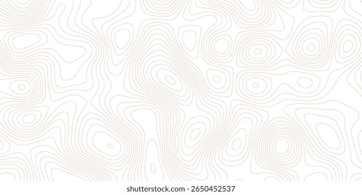 Abstract white topography vector background Topographic map. Geographic mountain relief. Abstract lines background