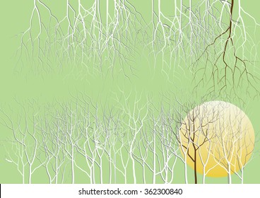 Abstract  white tree with out leaves and the moon for background 