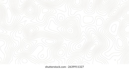 abstract White wave paper curved reliefs abstract background topographic line contour map background, geographic grid map	