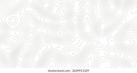 abstract White wave paper curved reliefs abstract background topographic line contour map background, geographic grid map	
