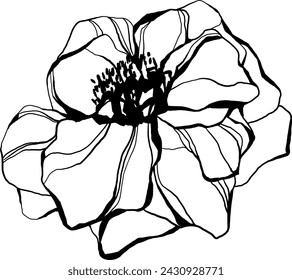 Flor silvestre abstracta aislada sobre fondo blanco. Ilustración de arte de tinta grabada en blanco y negro.