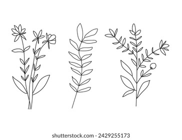 Abstract of wild flowers and leaves. Vector botanical elements. Hand drawn line branches and blooming.Wedding elegant wildflowers for invitation save the date card. 
