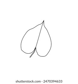 Abstract of wild flowers and leaves. Vector botanical elements. Hand drawn line branches and blooming.Wedding elegant wildflowers for invitation