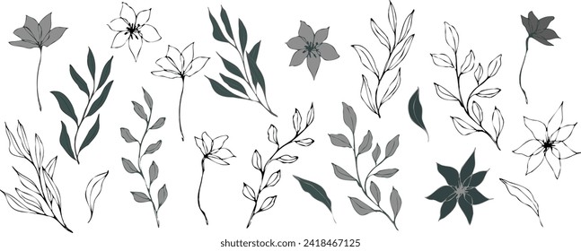 abstract wild flowers twigs with leaves. line art vector botanical illustrations. hand drawn greenery ink collection. Modern design for logo, tattoo, branding and packaging, invitations, cosmetic.