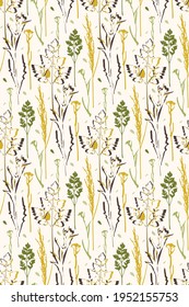 Abstract wild grass seamless pattern. Earth tone colors, brush graphic outline sketch style illustration of natural herbs, field plants. Editable light beige background. Vector