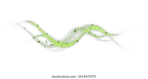 Abstract wind swirls with green leaves and glitter isolated on white background.