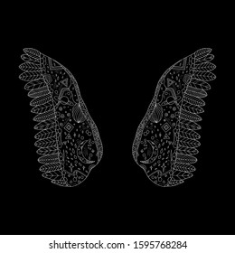 Abstract wings with cosmic elements. Vector illustration. Isolated objects. Hand-drawn style.