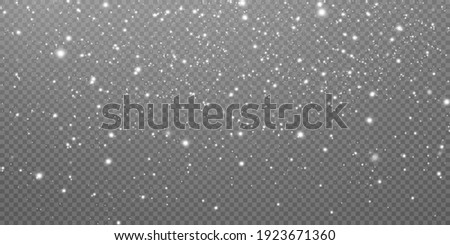 Abstract winter background from snowflakes blown by the wind on a white transparent background. Dust png.