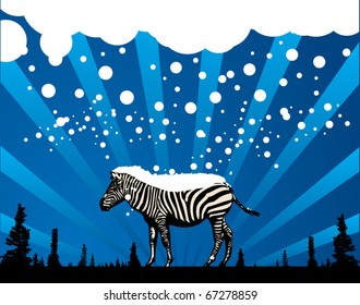 Abstract winter background with zebra silhouette, vector illustration