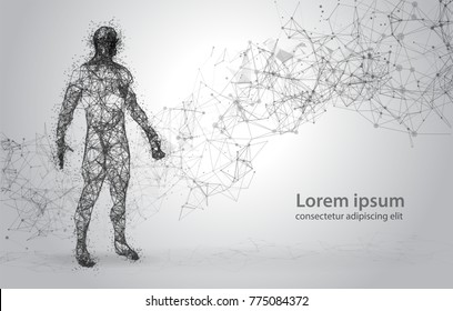 Abstract Wire Frame Human Body. Polygonal 3d Model On White Abstract Background. Dots And Lines Low Poly