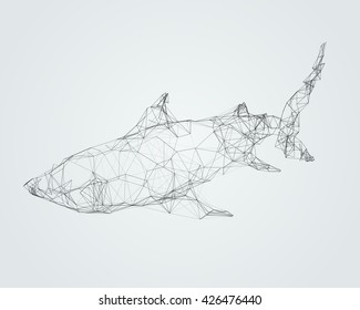 Abstract Wireframed Silhouette Of A Shark. Vector Illustration.