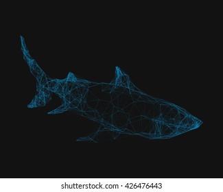 Abstract wireframed silhouette of a shark. Vector illustration.
