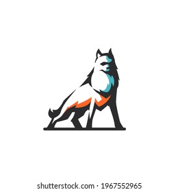 abstract wolf wild wildlife fox
