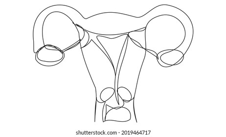 Abstract woman uterus in one line on a white background.