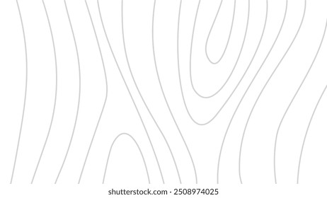 Abstract wood line background. Wood grain texture. wood lines abstract texture. wood outline background. 