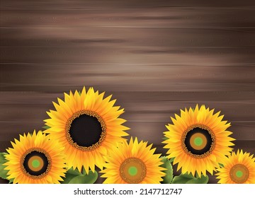 Abstract wooden background with border consisting of yellow sunflowers realistic vector illustration