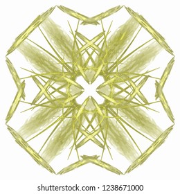 Abstract yellow isolated floral pattern
Abstract yellow floral fractal pattern isolated on white background. Vector.