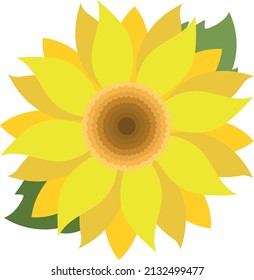 Abstract yellow sunflower isolated vector