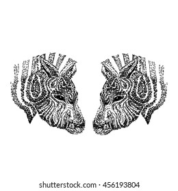 Abstract zebra head, isolated object