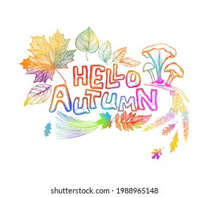 Abstraction of autumn leaves. Hello, autumn. Vector illustration