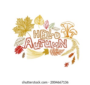 Abstraction of autumn leaves. Hello, autumn. Vector illustration