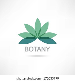 abstraction botany as a science icon