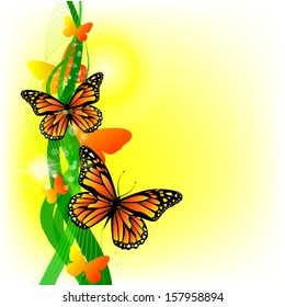 Abstraction of a butterfly in a grass in the summer 