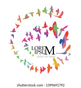 Abstraction from a colored birds flying in a circle. Vector illustration