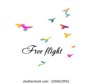 Abstraction of colorful flying birds